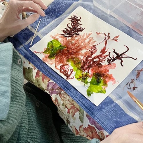 Seaweed Pressing Lecture